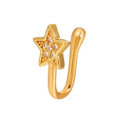 1 Stück Nasenpiercing Körperschmuck Cz Nasenring Nasenloch Nasenring Winzige Blume Helix Knorpel Tragus Ring