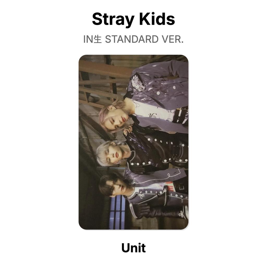 Stray Kids IN STANDARDVERSION. Offizielle Fotokarte