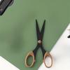 Color Scissor Stainless Steel Blade Safe Design Paper Cutting Scissors for Fine Art Diary Album Craft Office School Supplies