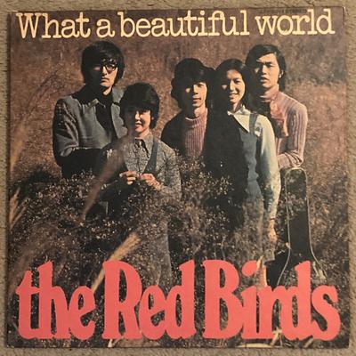 LP Record RED BIRDS  What A Beautiful World LTP9017 LIBERTY 1971 Japan Japanese PopRock Used