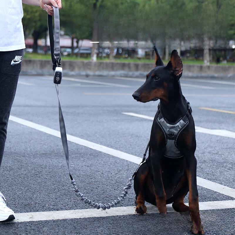 Laisse et corde de course multifonctionnelle et élastique antidéflagrante pour chien BOSKITTEN
