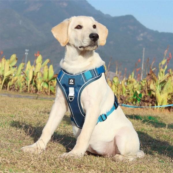 Dog's Lab Dog Comfort Anti-flip Harness, Water Blue