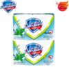Safeguard Icy Cool Peppermint Antibacterial Bar Soap