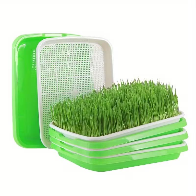 1set Efficient Germination Nursery Pots For Peas Beans Wheat Fast Harvest Seed Sprout Nursery Tray Gardening Accessories