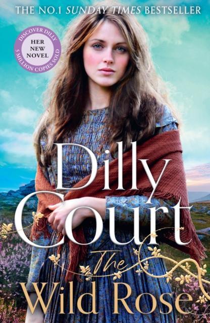 The Wild Rose by Dilly Court Paperback Book 9780008580957