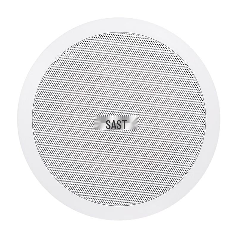 SAST Coaxial In-Ceiling Speaker CN plug (adapter included)