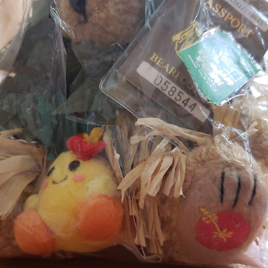 [USED] Price Reduced Again! Bear Foot Hawaii Limited Edition Teddy Bear