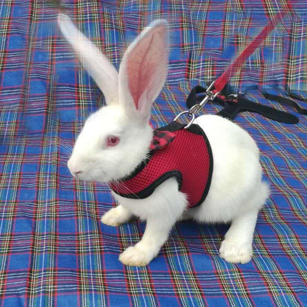 Safety Protection Ferrets Prevent Escape Rabbit Vest Bunny Leash Rabbit Harness Rabbit Leash