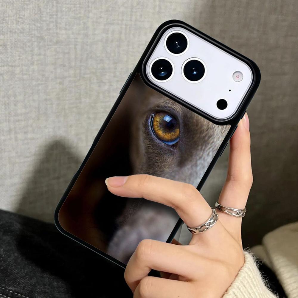 Hülle Case für iPhone 17 Air 16 Pro Max 15 Plus 11 13 Mini 14 12 Rückseite Handyhülle Tolles sitzendes Rehkitz Windhund Hund