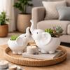Decorațiuni pentru casă – Ghivece de flori decorative
