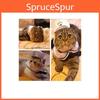 Adorable Sailor Suit Outfit For Small Pets With Hat And Cape Perfect For Gifts