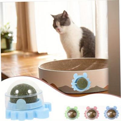 Kedi – Kedi Oyuncakları