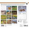 Carousel Calendars, Wild Cats WWF 2026 Wall Calendar, 12'' X 28'', 16-Month Calendar with Stapled Binding