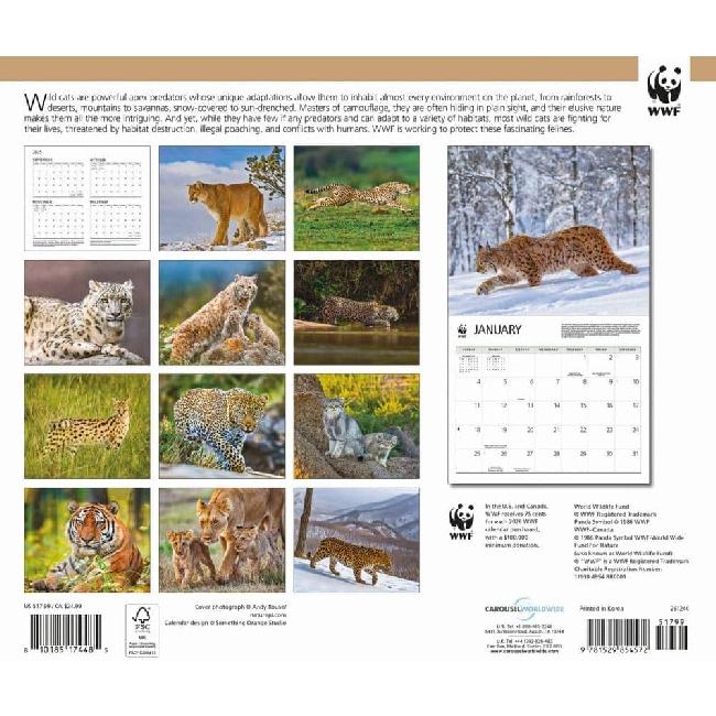 Carousel Calendars, Wild Cats WWF 2026 Wall Calendar, 12'' X 28'', 16-Month Calendar with Stapled Binding