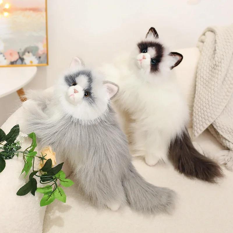 Kawaii Simulation Ragdoll Cat Plush Toy Soft Stuffed Kitten Cute Animals Home Decor Accompany Sleep Toy for Kids Birthday Gifts