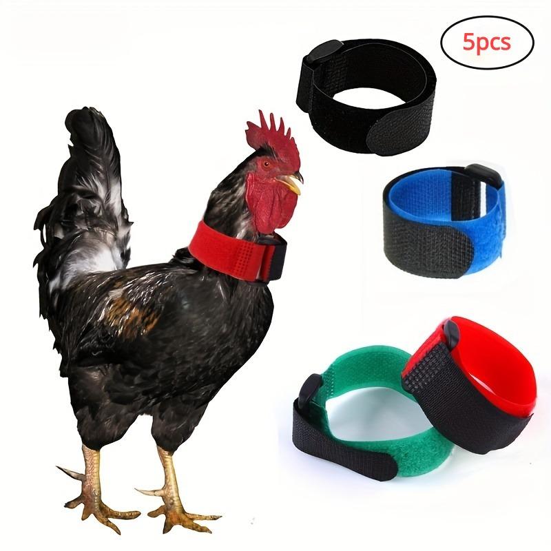 Collar para Pollo Silencioso Cómodo de 1 Pieza, Rojo, Azul y Verde - Collar de Cuello Duradero y Ajustable, para Mantener a los Pollos Más Tranquilos