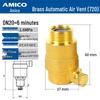 AMICO 720 Brass Automatic Air Vent Valve with Filter