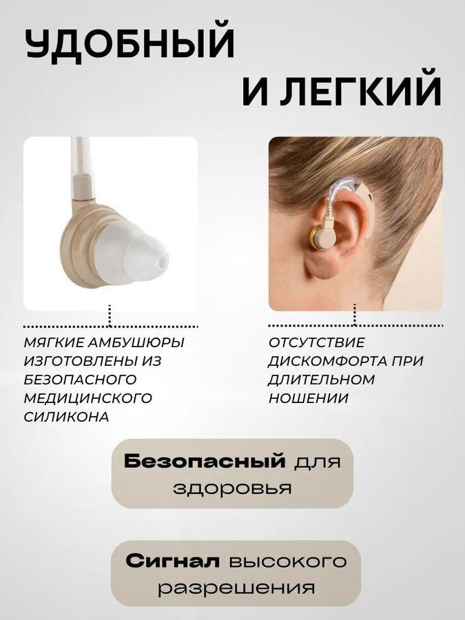 Auditory apparatus of sound amplifier for the elderly