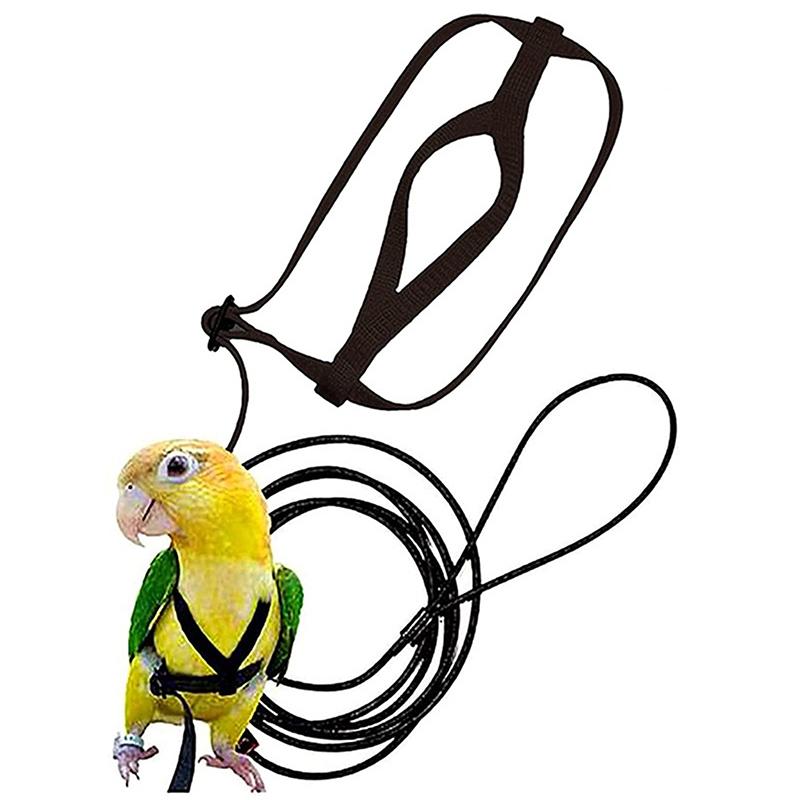 1Pcs Adjustable Parrot Training Harness Anti-Bite Flying Traction Rope Sturdy Strap for Outdoor Walking Flight