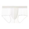 Underpants Summer Thin Briefs Men L-3XL Large Size with Crotch Cloth Ice Silk Boxers Panties Breathable Quick Dry
