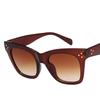 Latest Ladies Oversized Frames Cat Eyes Sun Glasses Fashion Ladies's Sun Glasses Vintage Gents UV Protective Goggles UV400 Eyewear