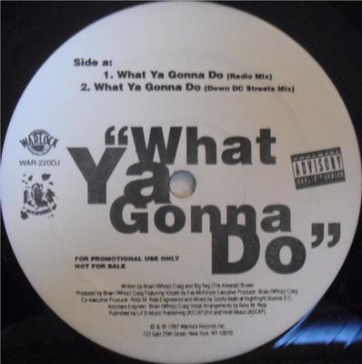 12inch Record WHOP-N-EM - What Ya Gonna Do WAR220DJ Warlock Records 1997 US Rap & Hip-Hop/R&B Used