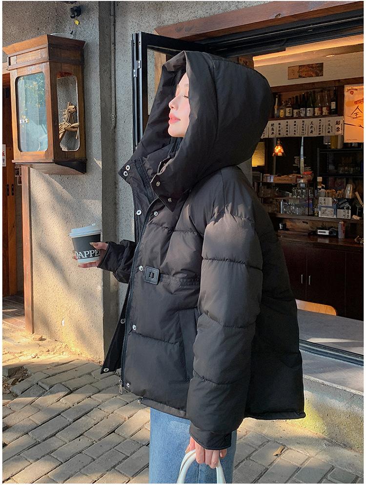 Women's Autumn and Winter Coat Hooded Short Solid Color Loose Thickened Windproof Women's Jacket