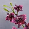 Realistická lodyha Cattleya Orchidej Realistický dotek Cymbidium Kytice Umělé květy Orchidejí Svatba