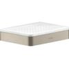 Axor Universal Soap Dish for Toothbrushes Brushed Nickel 42803820