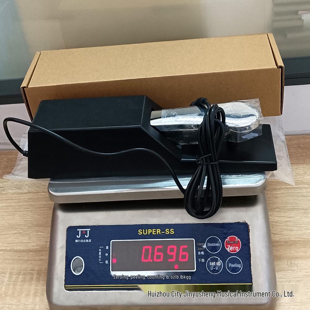 Universal Electronic Keyboard Sustain Pedal: Metal Foot Switch for Digital Piano & Synthesizer