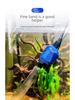 Elektrischer Wasserwechsler und Sandwäscher von Sensen: Automatischer Aquariumreiniger