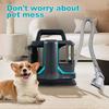 Multifunctional Fabric Vacuum Cleaner Small Household Carpet Washing Machine Sofa Spray Suction Integrated Machine