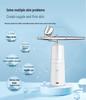 Handheld High-Pressure Oxygen Injector Spray: Facial Cleanser, Moisturizer & Humidifier Beauty Device (English Version)