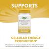 Enzymatische Therapie Nature's Way Riboflavin Vitamin B2 400mg 30 Tabletten
