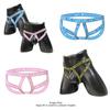 ORLVS Men Erotic Clothing New Low Waist Men Gay Briefs Underwear Cotton Soft Sexy Men's Panties Comfortable U Convex Hollow Sexy Underwear