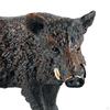 Statua di Cinghiale Modello Animale della Giungla per Esposizione in Giardino