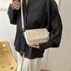 Urban Chic Small Crossbody Bag Trendy 2023 Shoulder Bag Simple Square Purse