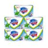 Safeguard Mint Ice Refreshing Soap Bars
