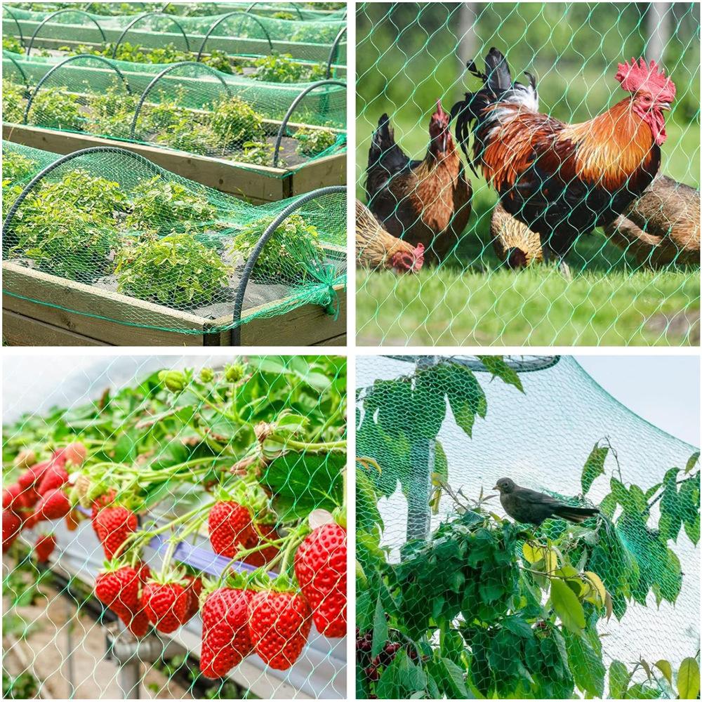 Garden Anti Bird Insect Protection Net Orchard Plant Vegetable Fruit Care Covers Green Mesh Pest Control Network Stretch Fencing