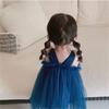 Dievčenské šaty Letné Detské Dievčenské šaty Sieťované spoločenské šaty Princezná Dievčenské oblečenie