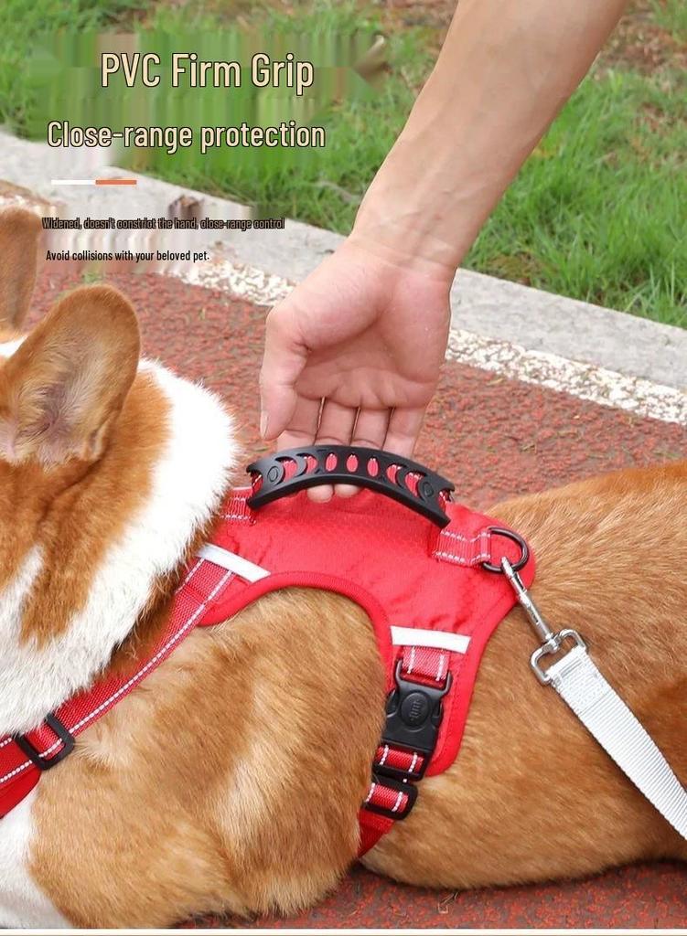 Anti-Escape Dog Harness with Leash, Vest-Style for All Dog Sizes