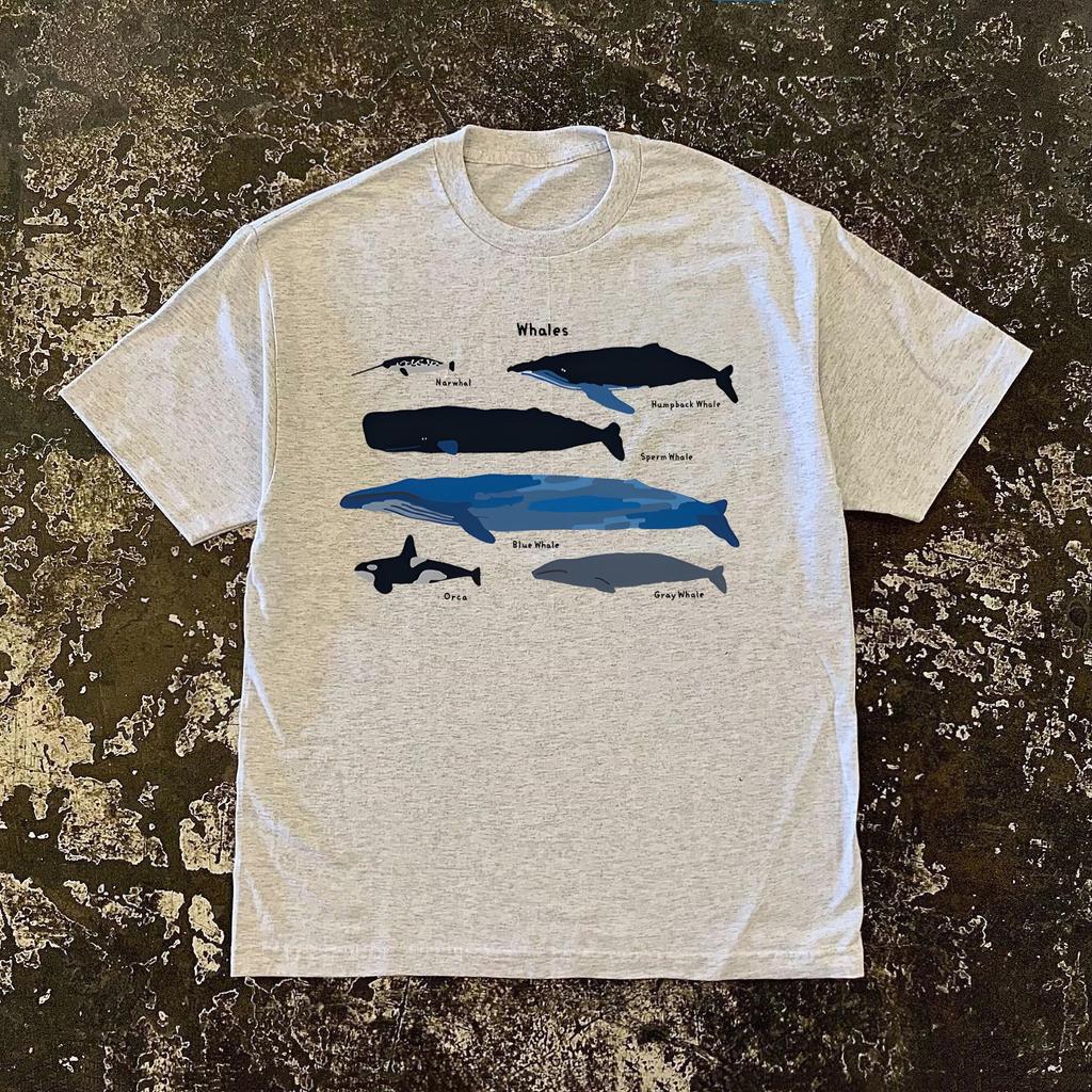 2026 Summer Vintage Simple Whale Species Marine Life Chart Tshirt Unisex Baggy Oversized Jfashion Casual Pure Cotton White Tee