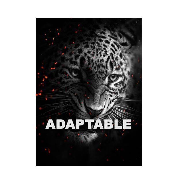 Lion and Tiger Motivational Text Posters Wall Art Canvas Prints Modern Animals Paintings Living Room Home Office Decor Pictures