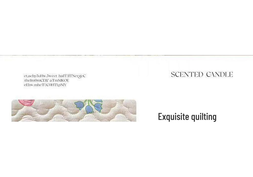 Quilted Anti-slip Korean Lace Bed Skirt - Princess Style Mattress Protector