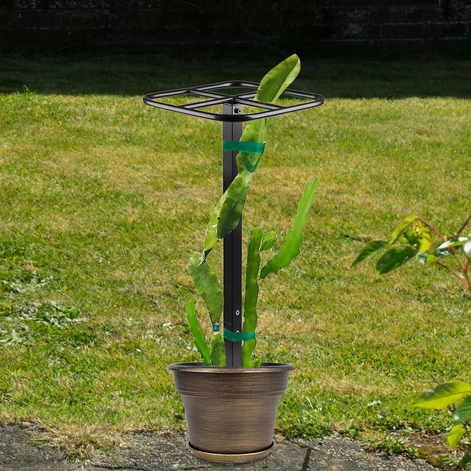 

Dragon Fruit Trellis Adjustable Height Multipurpose Removable Decorative Garden