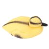 3Pcs Floating Yellow Duckling Realistic Plastic Duck Fish Pond Ornament for Garden Swimming Pool Fishing Pond Water Decoration S
