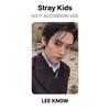 Stray Kids DO IT ACCORDION VER. Official Photocard