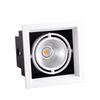 Adjustable Double-Head LED Eyeball Spotlight for Retail Stores