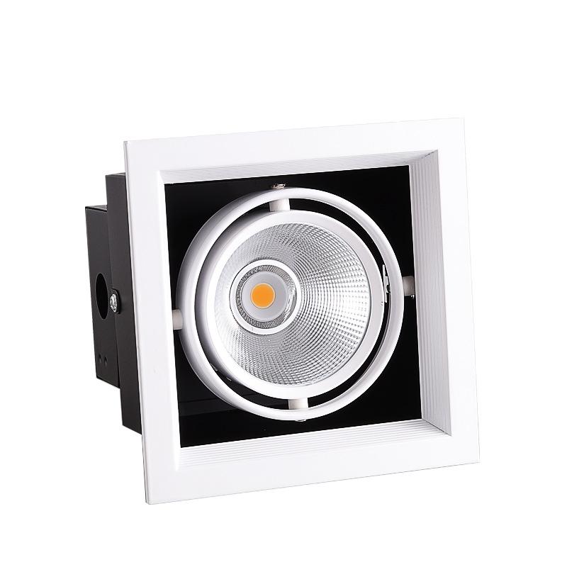Adjustable Double-Head LED Eyeball Spotlight for Retail Stores