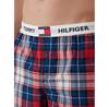 Боксеры Tommy Hilfiger UM0UM03849
